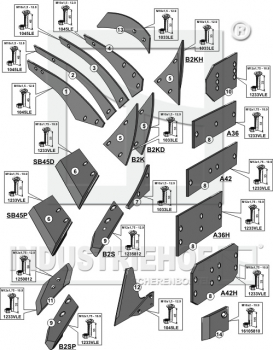 Preview: Körpertyp.US40